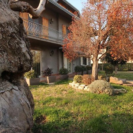 Magnolia Hotel Savignano sul Rubicone Bagian luar foto