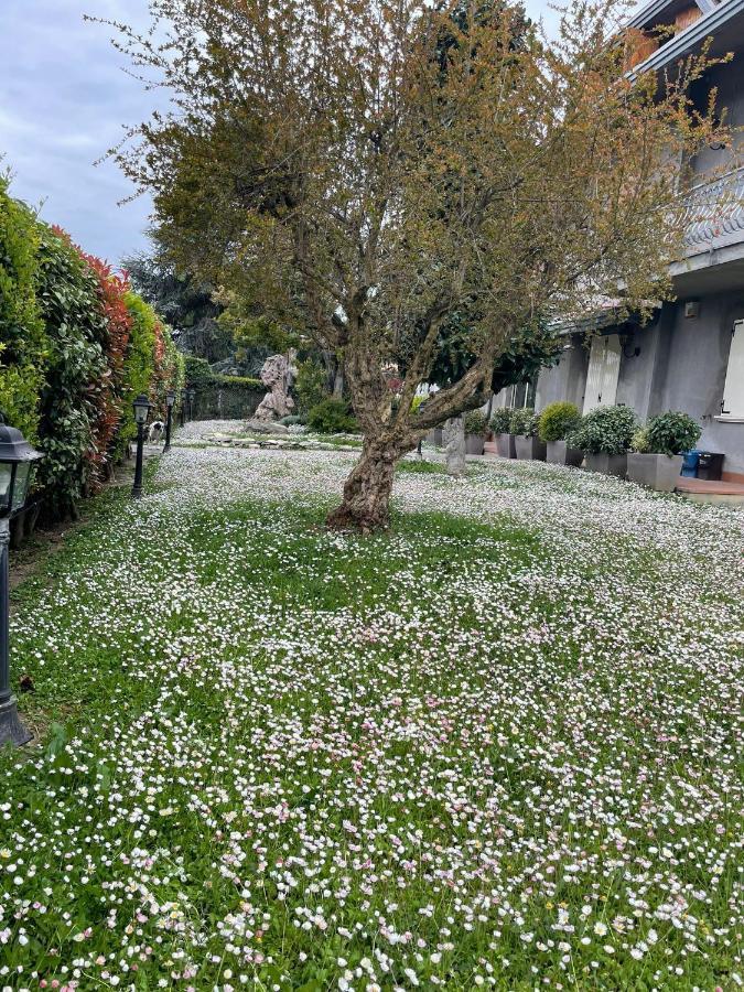 Magnolia Hotel Savignano sul Rubicone Bagian luar foto